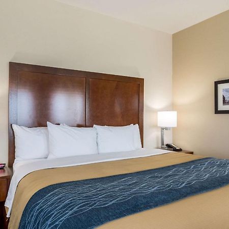 Comfort Inn Edwardsville - St Louis Zewnętrze zdjęcie